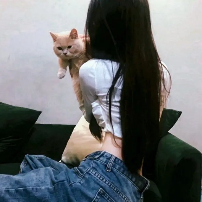 黄石第三季